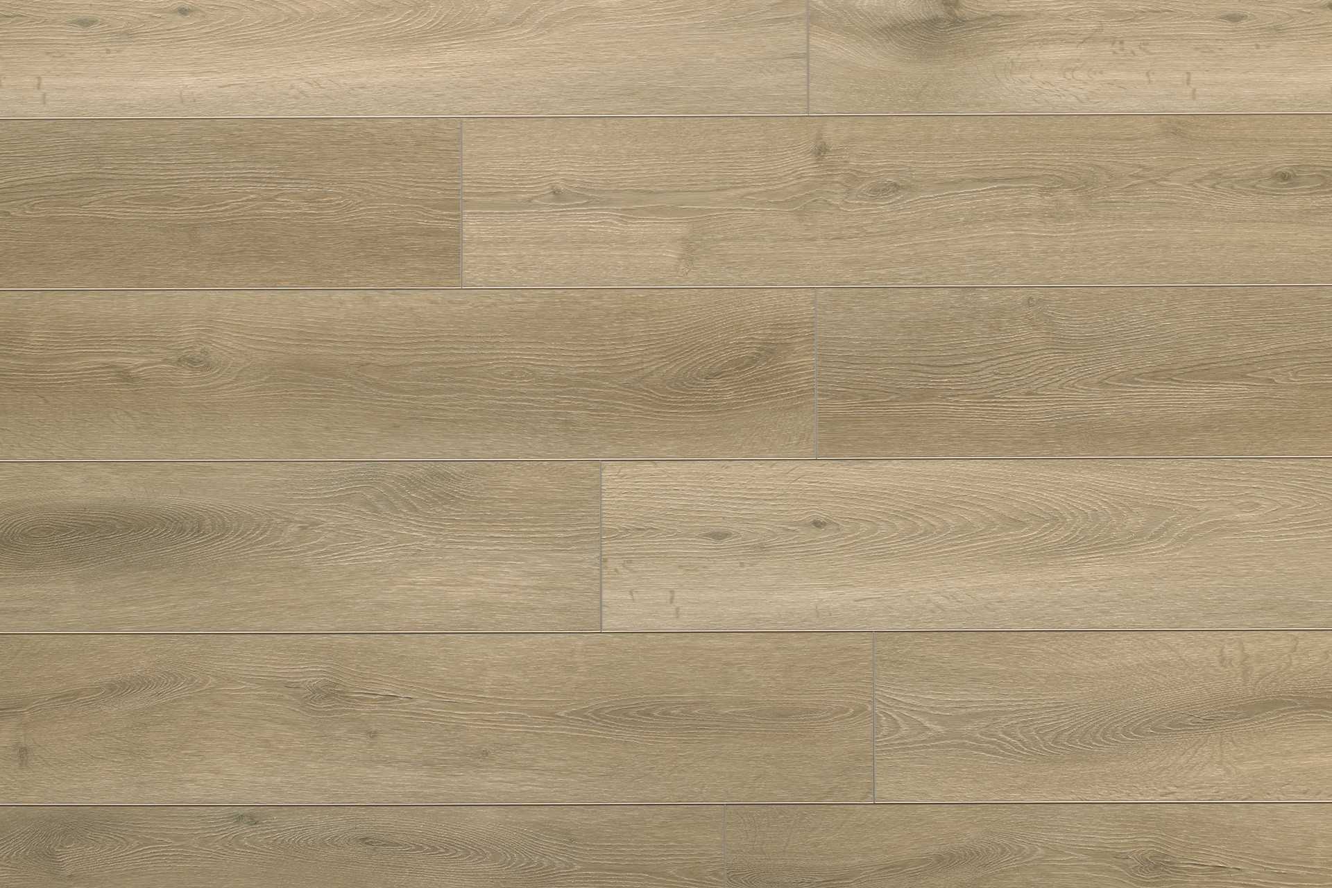 TARN Chestnut